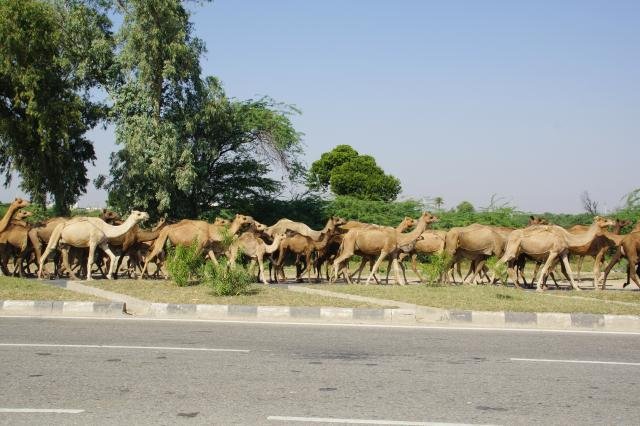 Urlaub in Indien 2016